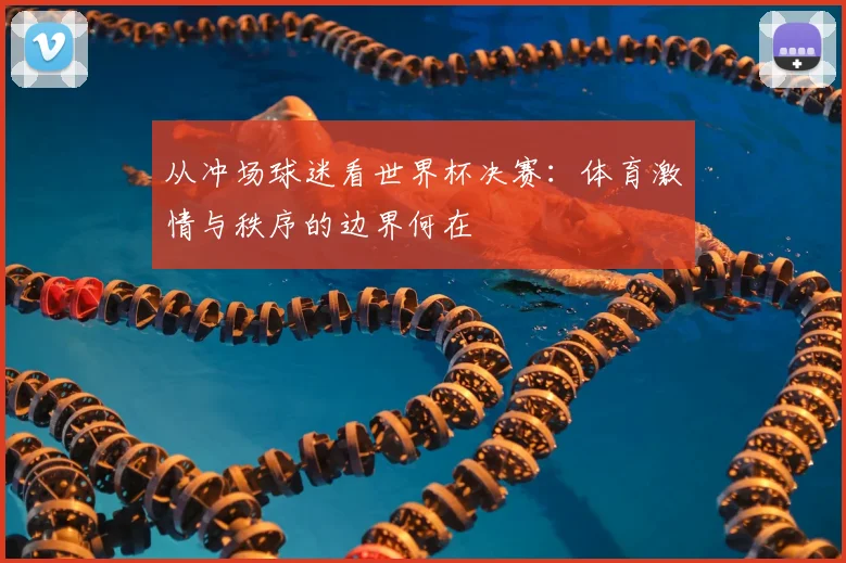 从冲场球迷看世界杯决赛:体育激情与秩序的边界何在