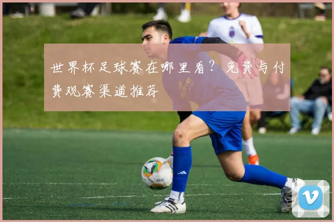 世界杯足球赛在哪里看？免费与付费观赛渠道推荐