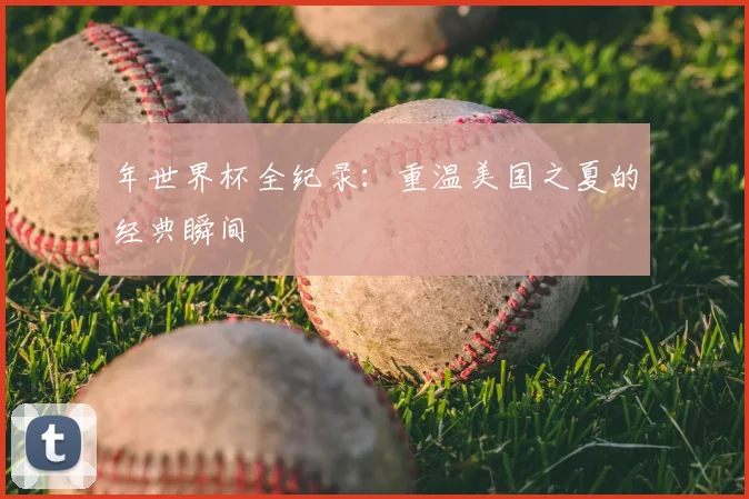 年世界杯全纪录:重温美国之夏的经典瞬间