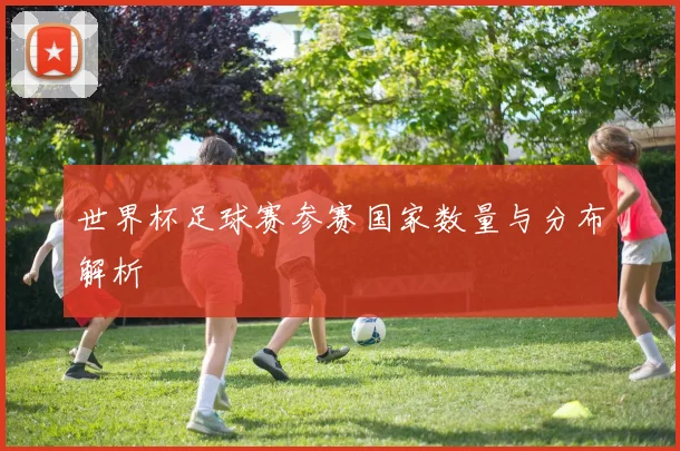 世界杯足球赛参赛国家数量与分布解析