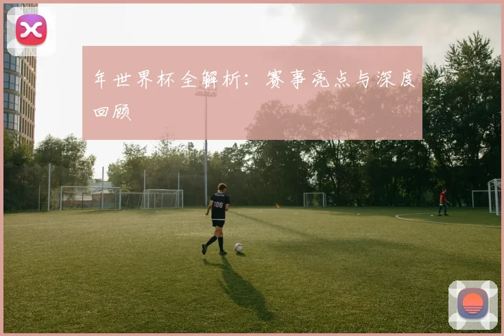 年世界杯全解析：赛事亮点与深度回顾