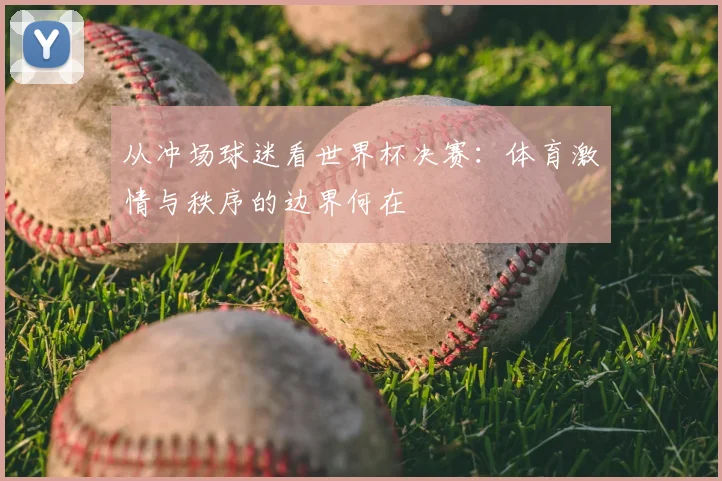 从冲场球迷看世界杯决赛:体育激情与秩序的边界何在