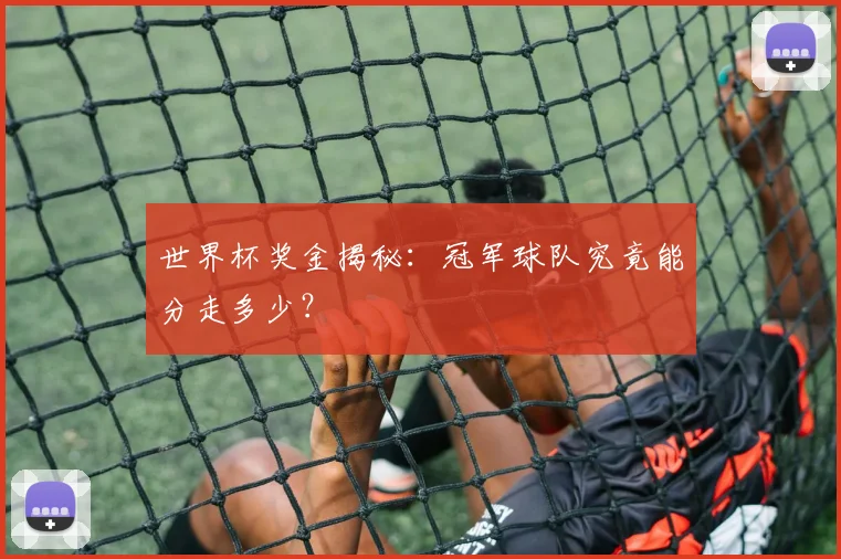 世界杯奖金揭秘:冠军球队究竟能分走多少?