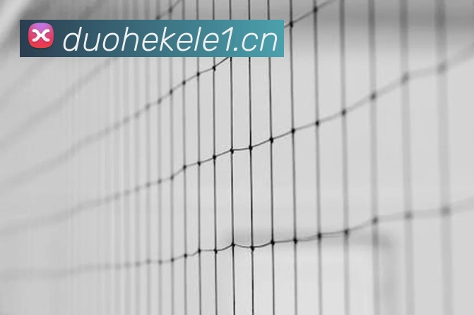 多媒体互动体验